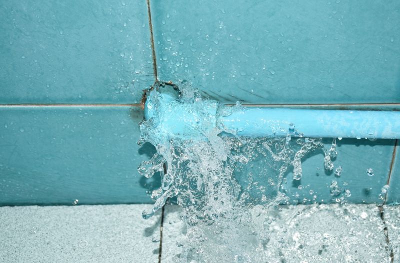 Pipe Leak Repair